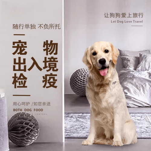 邯郸市宠物托运到哥伦比亚猫狗宠物入境规定和