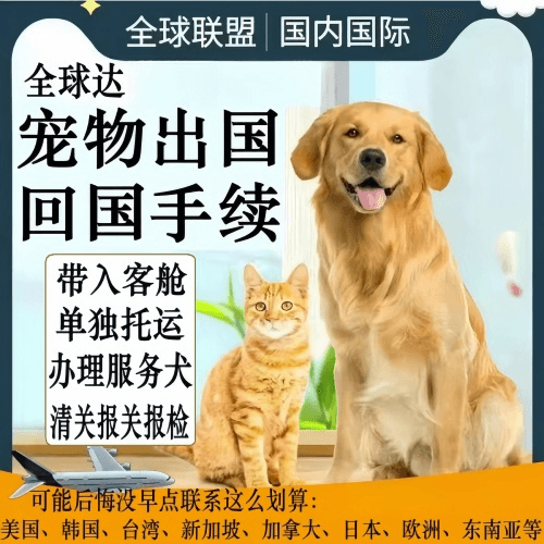 邯郸市宠物托运到柬埔寨宠物入境规定和要求
